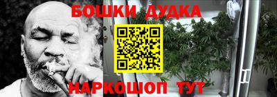 PSILOCYBIN Туймазы