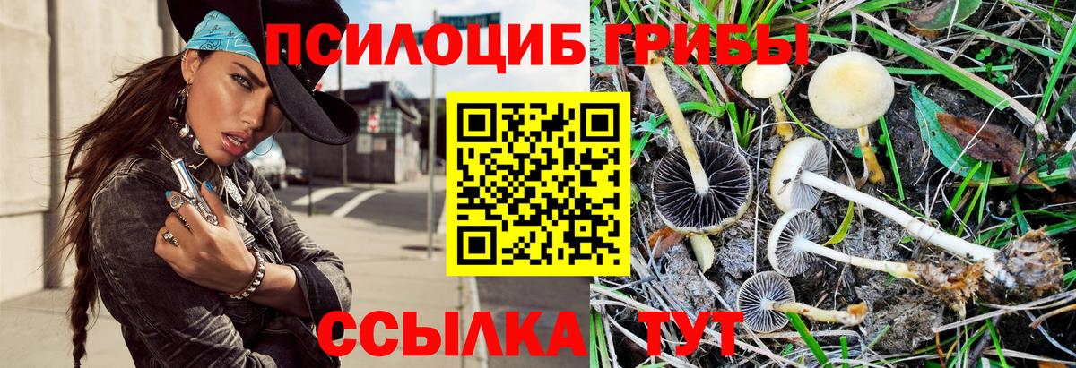Новоуральск  Псилоцибиновые грибы GOLDEN TEACHER  Галлюциногенные грибы Cubensis  где продают наркотики  Вход с VPN 